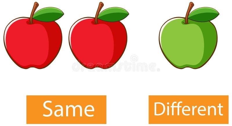 Identical Clipart