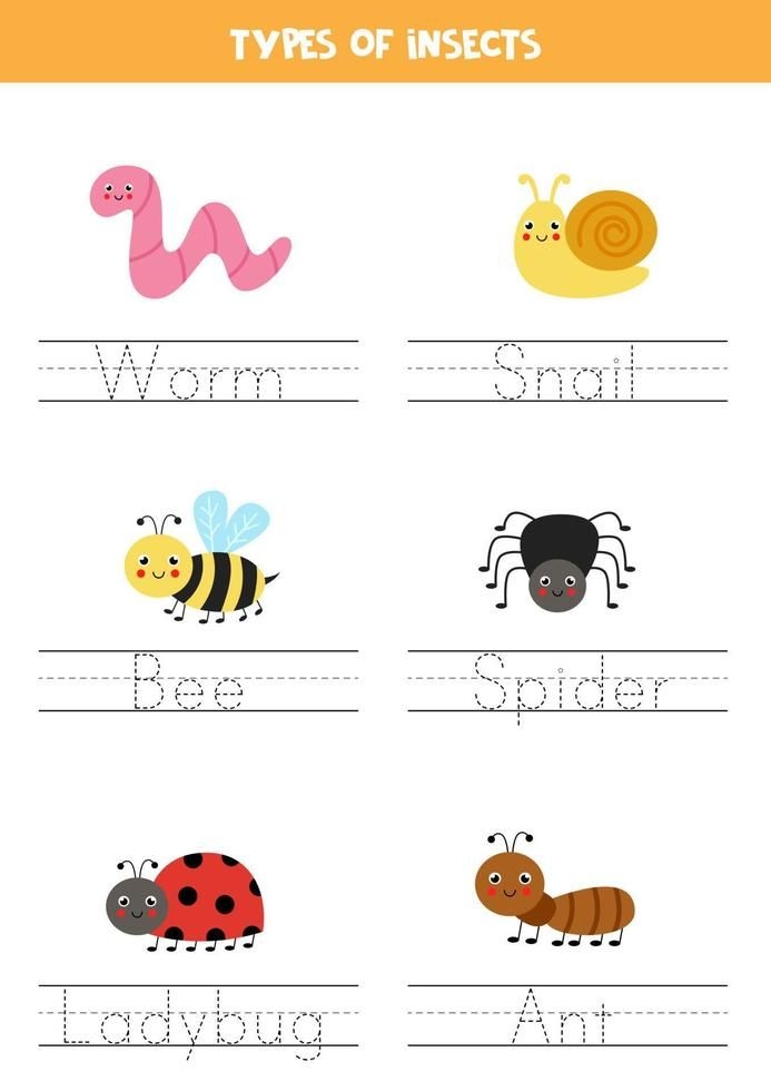 Insects Names Types Of Insects Type Writing Practice Tracing 