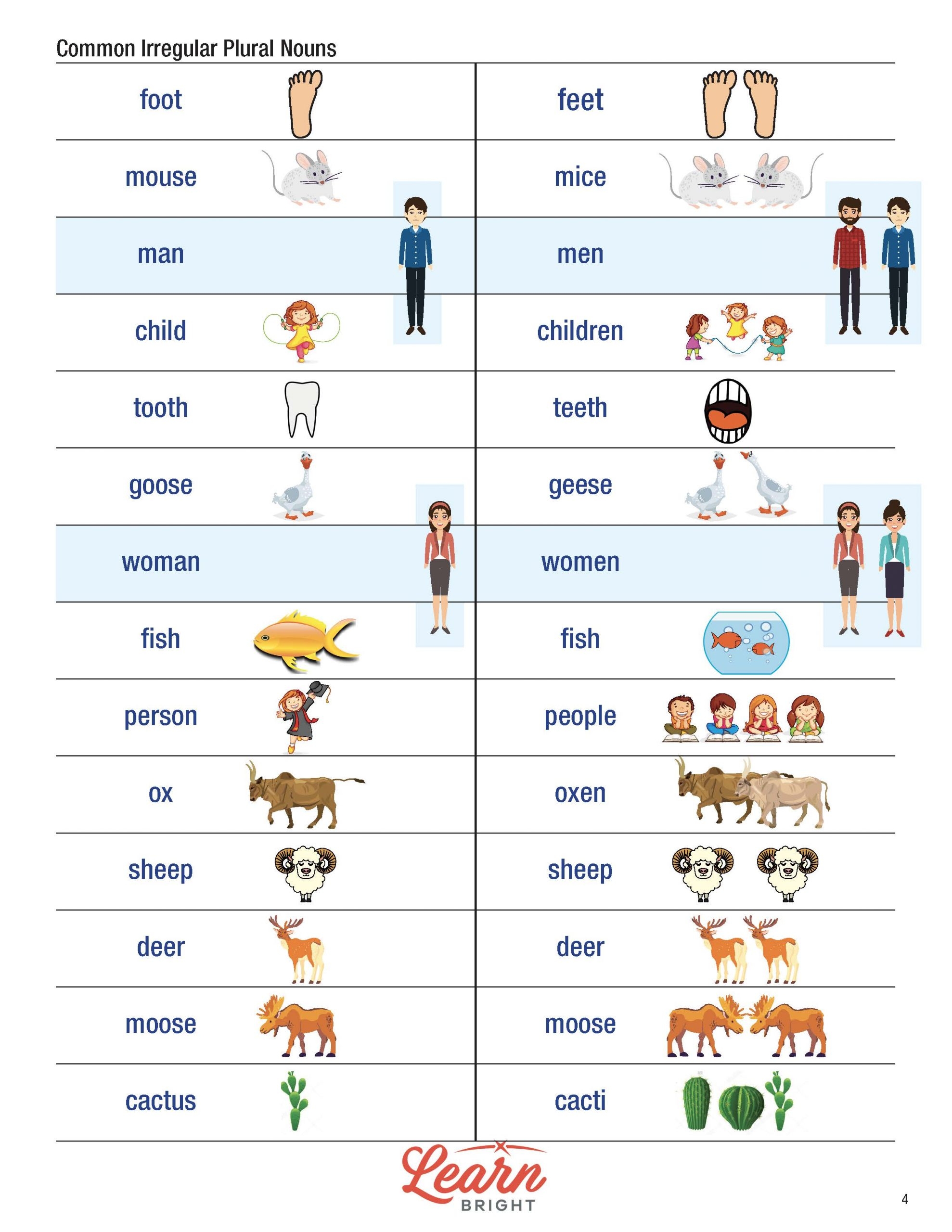 plural nouns for animals