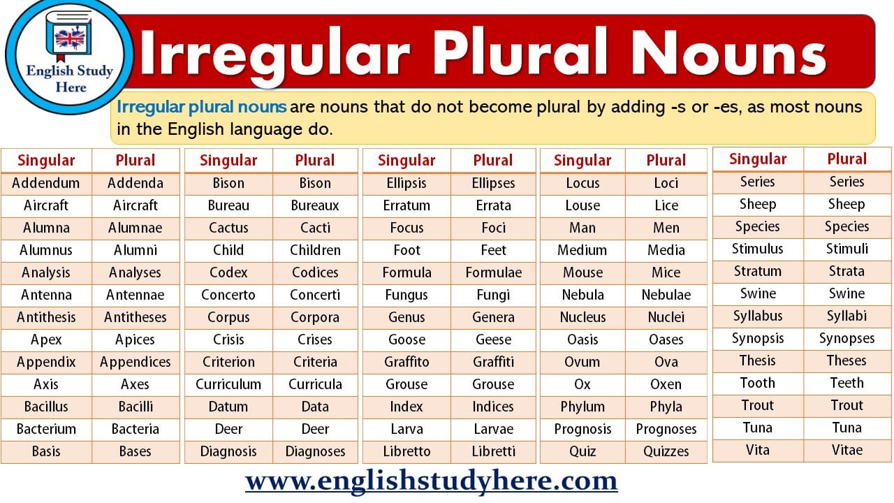 Irregular Plural Nouns English Study Here