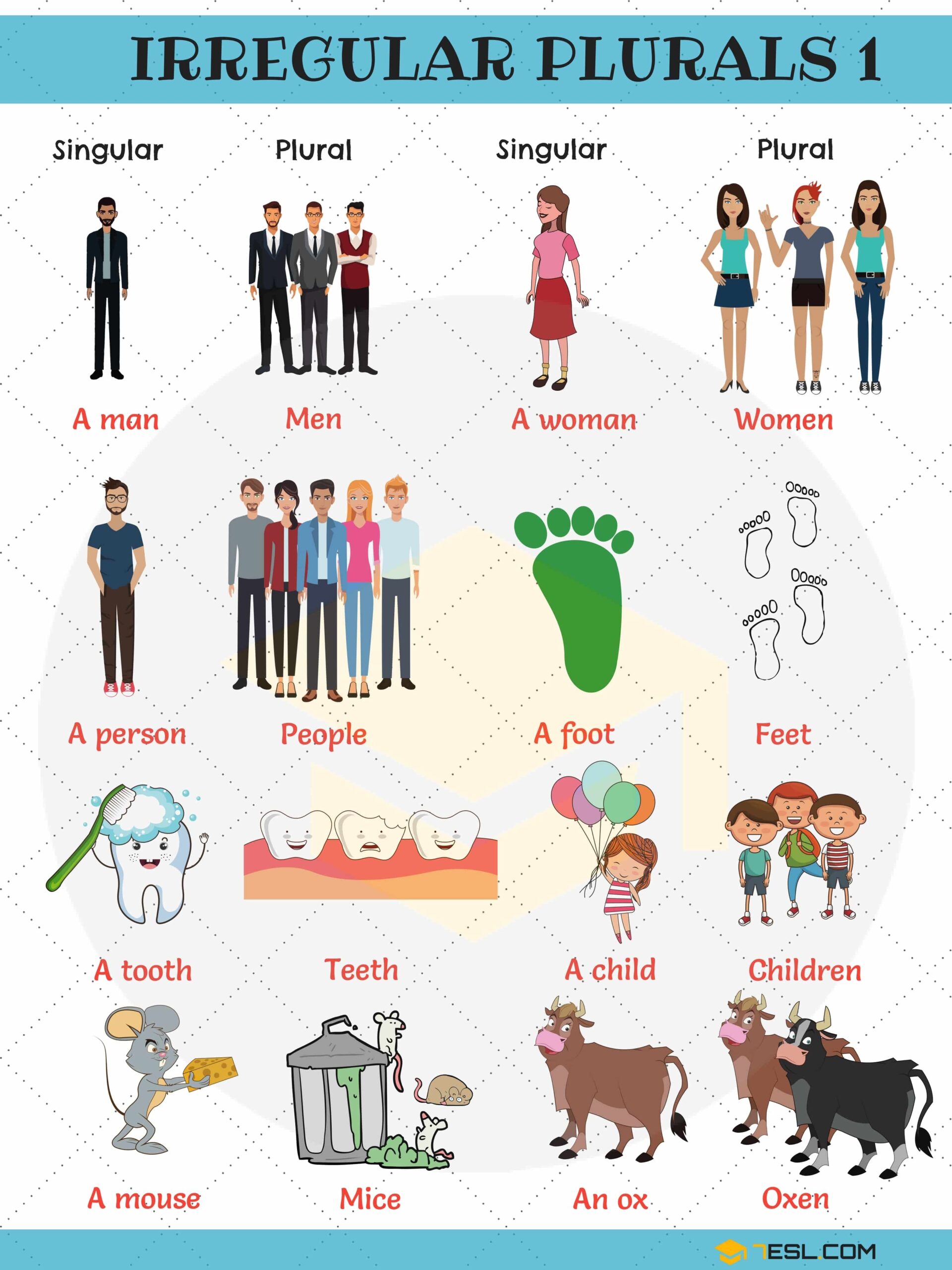 Irregular Plural Nouns Important Rules Lists And Examples