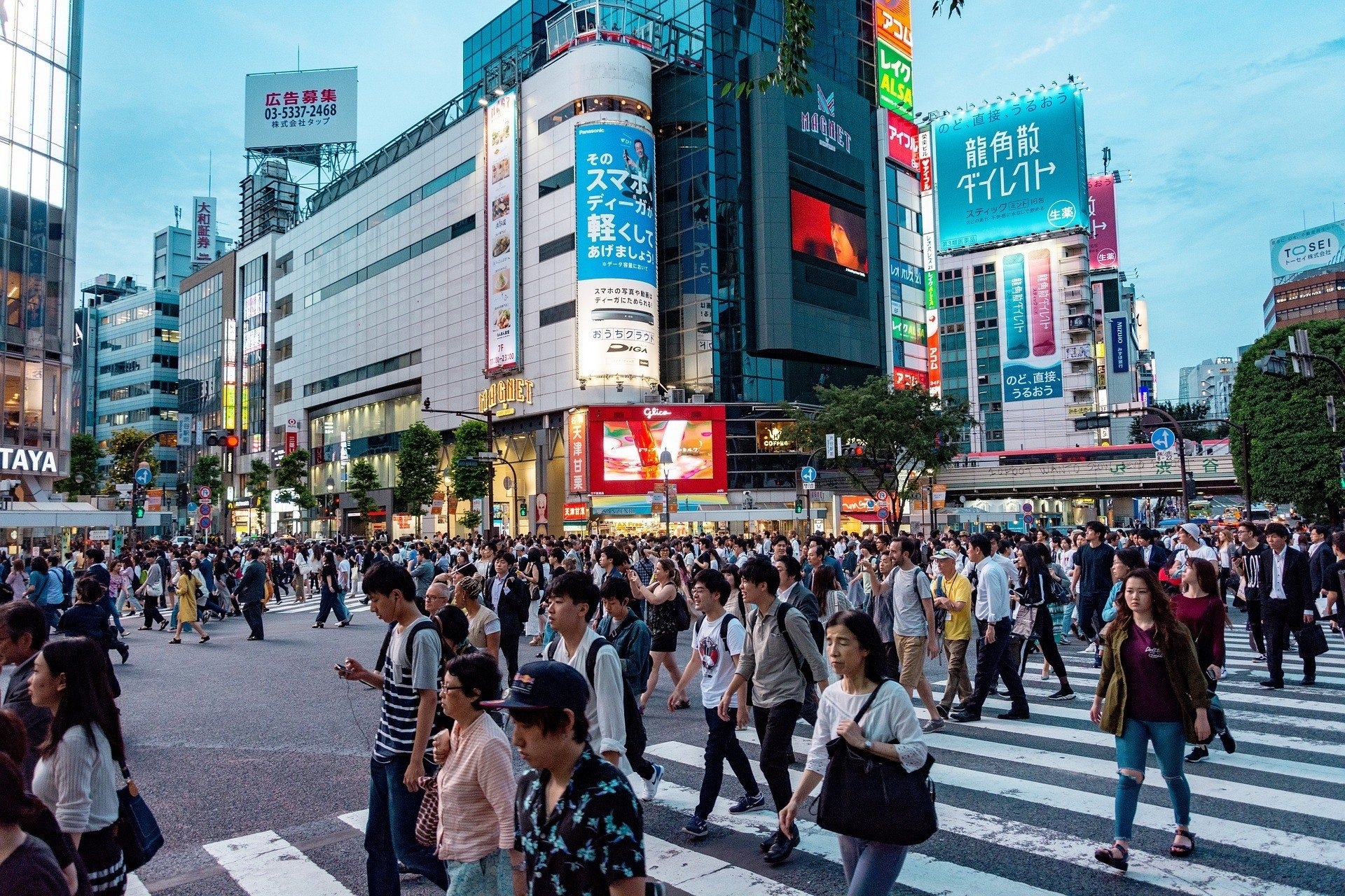 Japanese Language And Culture Language Insight