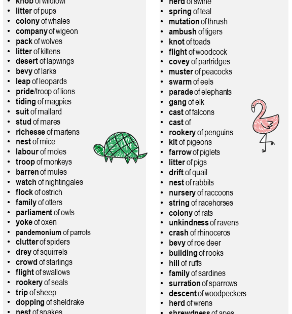 List Of Animal Collective Nouns Architecturebool
