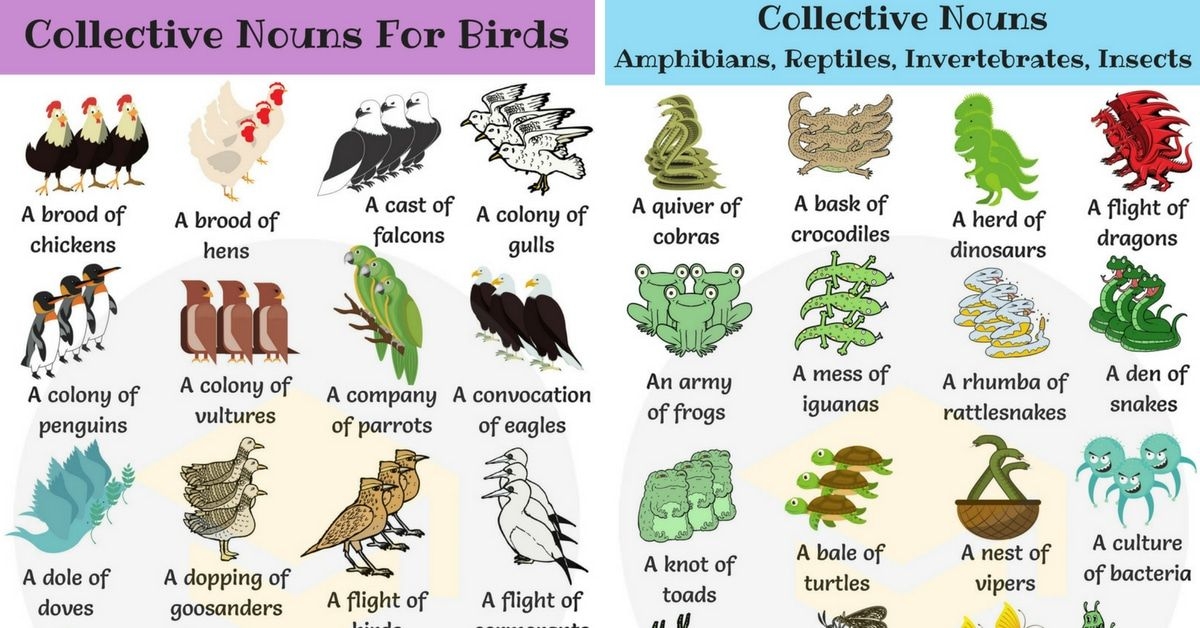 List Of Collective Nouns For Animals Teahost