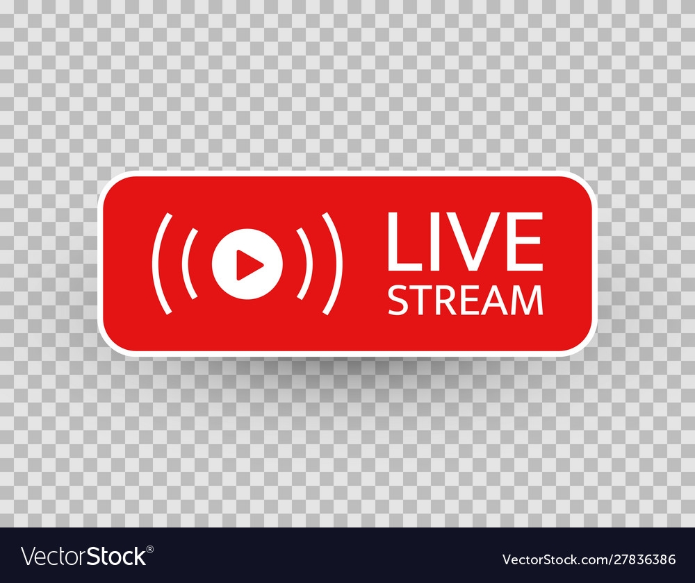 live worksheet on contractions