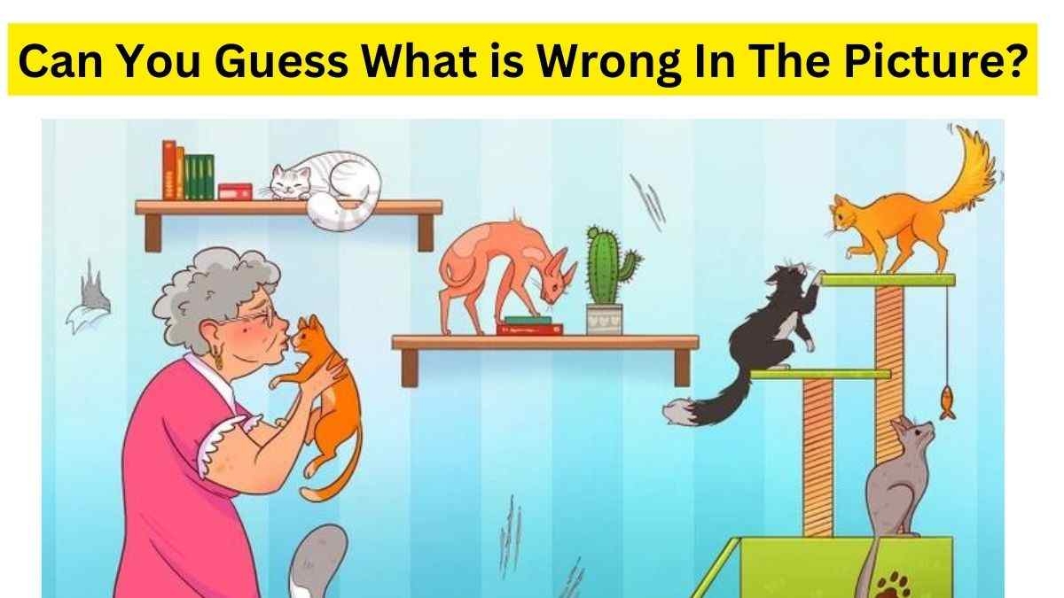 Mama Luna Got A New Cat Can You Find What Is Wrong In The Brain Teaser 