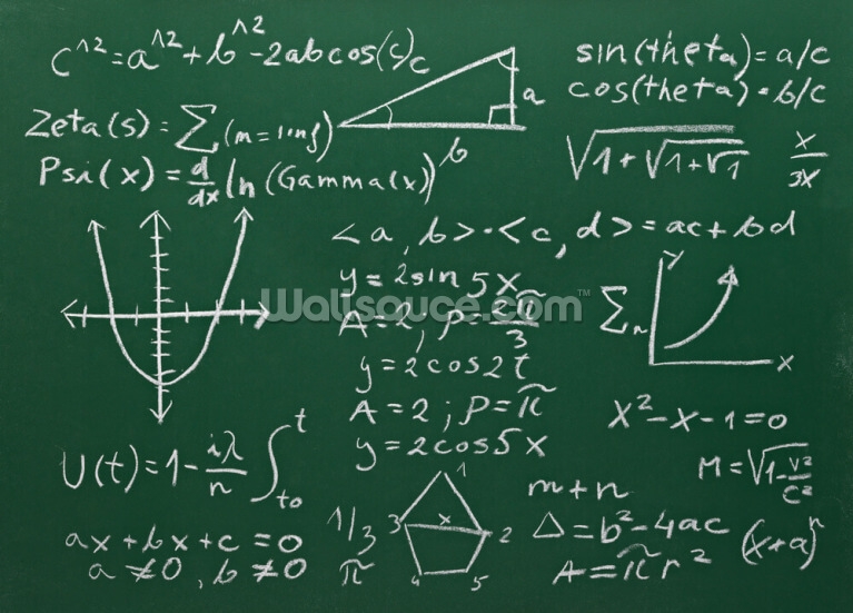 Maths Wall Murals Wallpaper Wallsauce UK