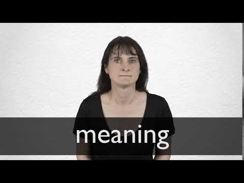 the meaning of common noun