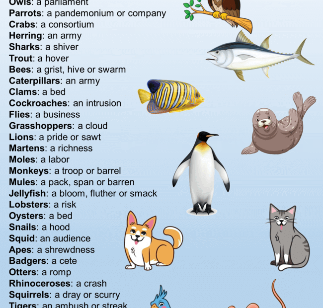 Names For Groups Of Animals Definition And 90 Animals Names Group List