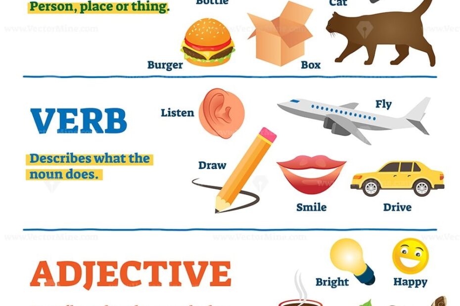 Nouns Verbs And Adjectives School Study Guide Vector Illustration