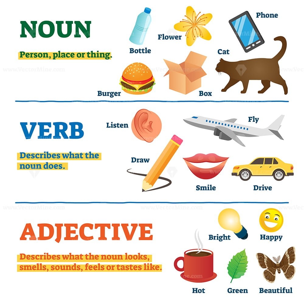 Nouns Verbs And Adjectives School Study Guide Vector Illustration 