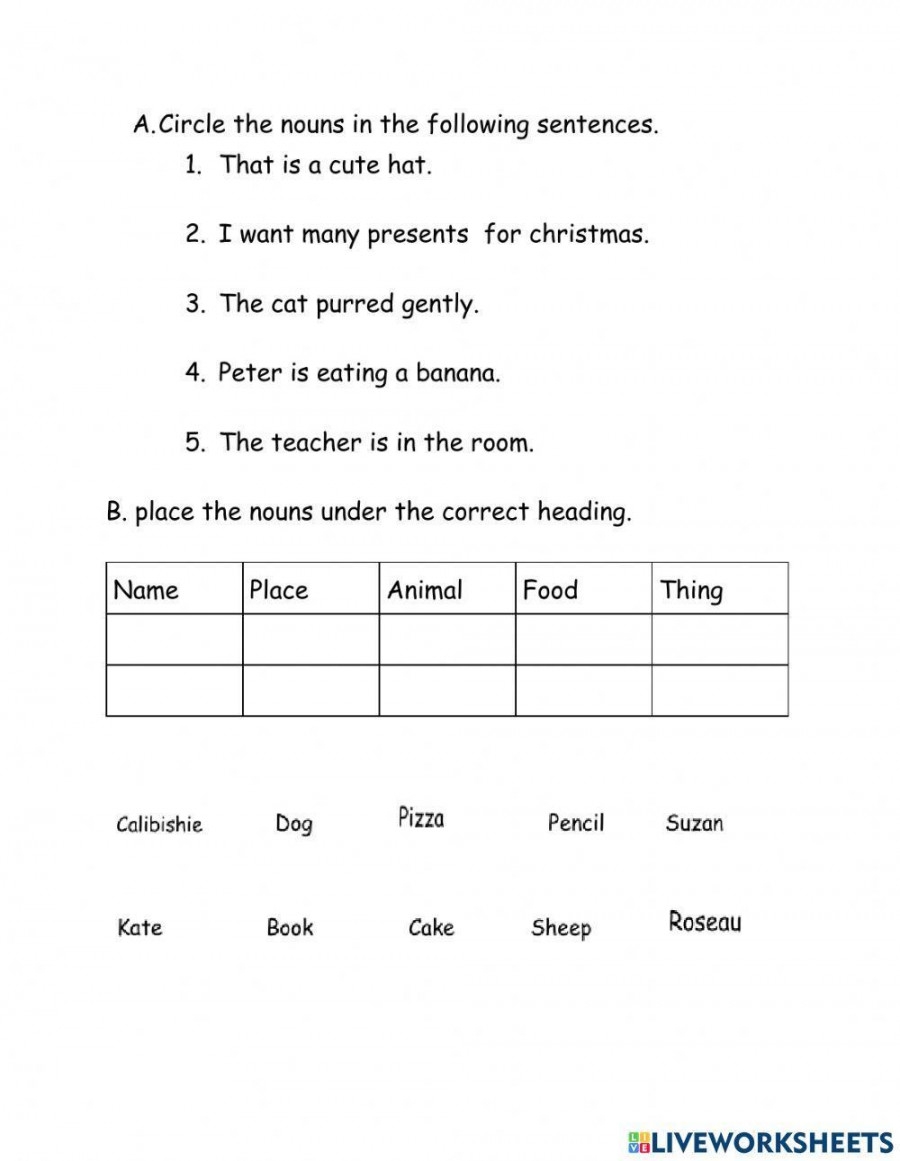 type of nouns worksheet