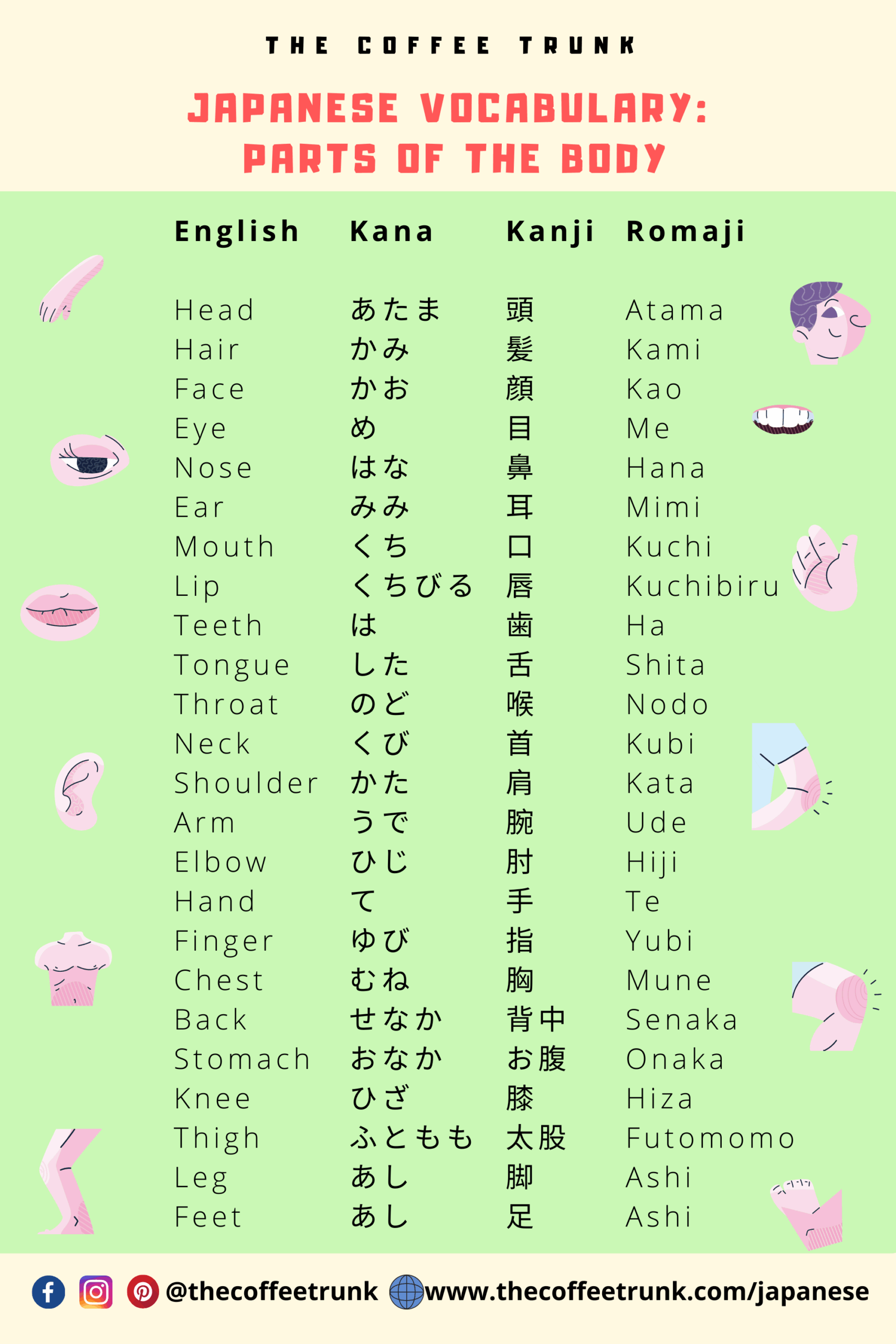 Pin On Japanese Vocabulary 
