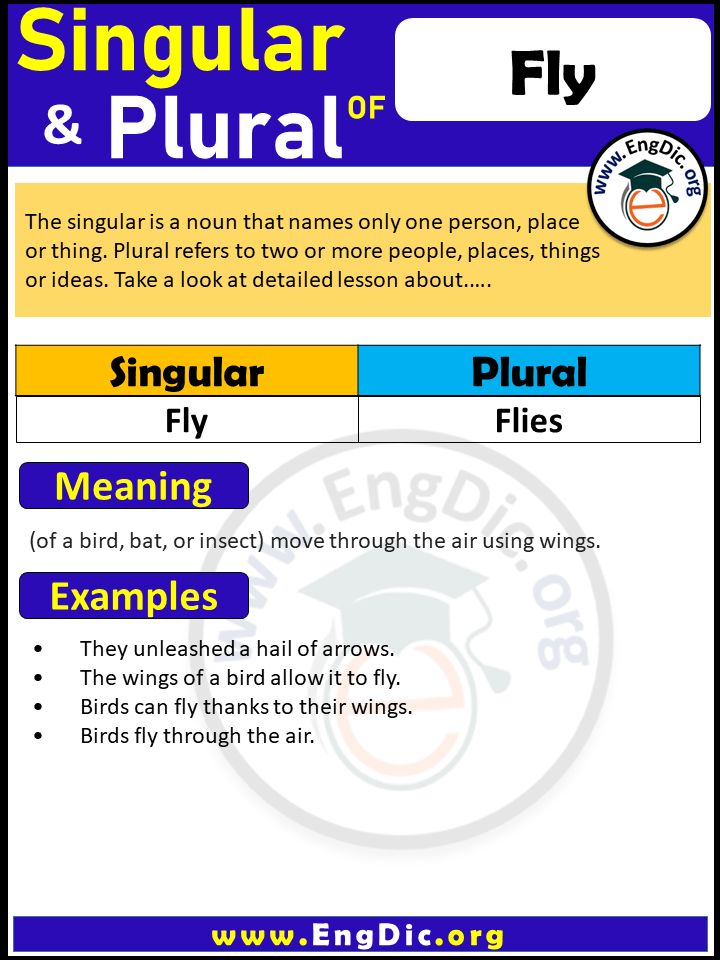 plural of the noun fly