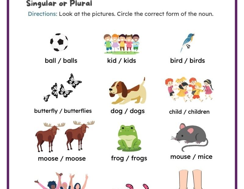 Plural Irregular Plural Nouns Worksheets ReadingVine