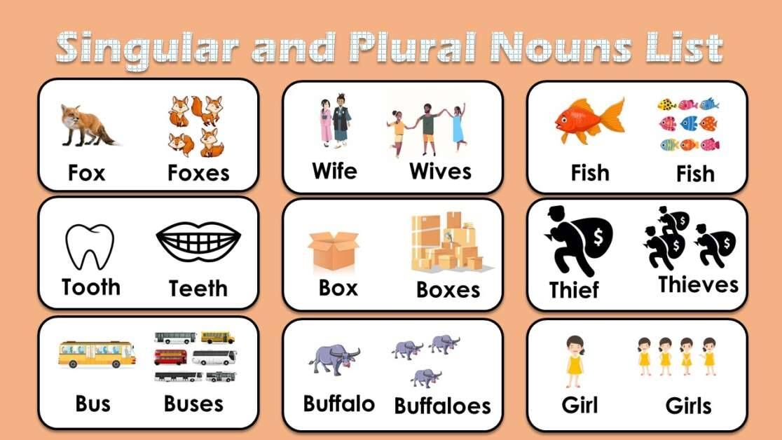 plural noun definition