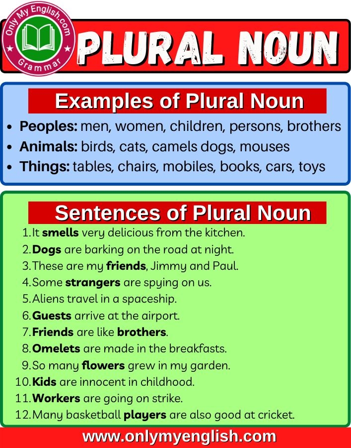plural noun meaning and examples