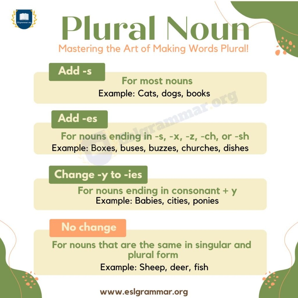 a plural noun examples