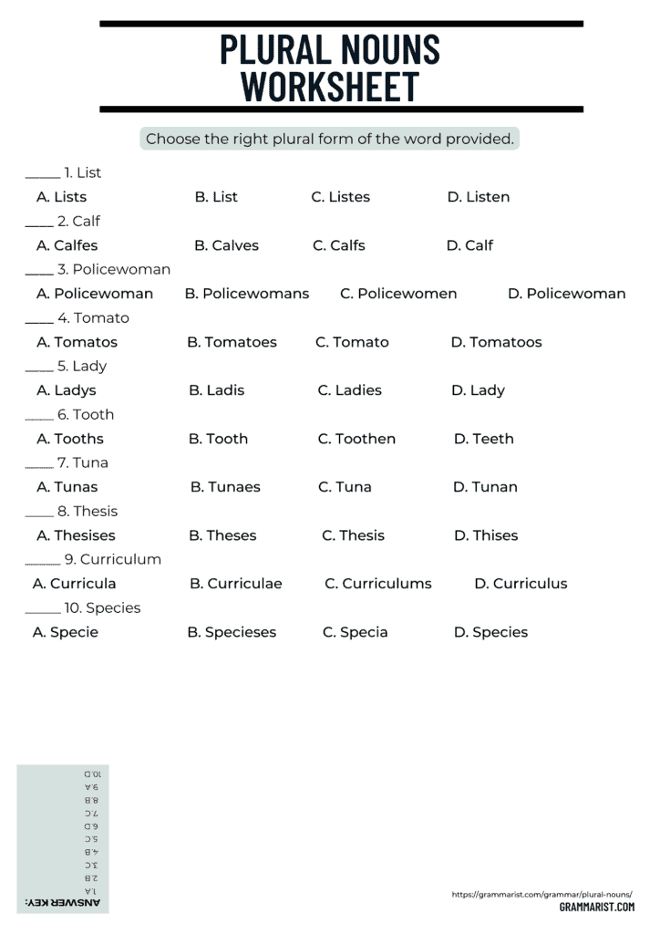 Plural Nouns Rules List Of Examples Worksheet