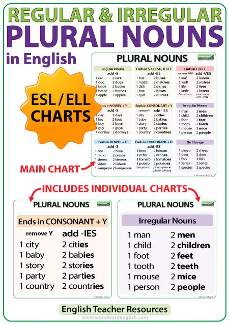 PLURAL NOUNS