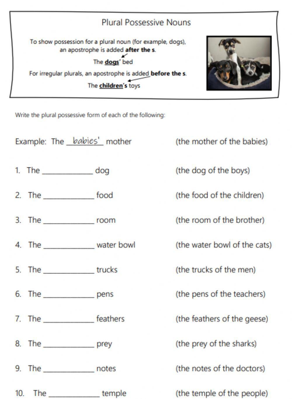Plural Or Possessive Noun Worksheet Answers Worksheets Library