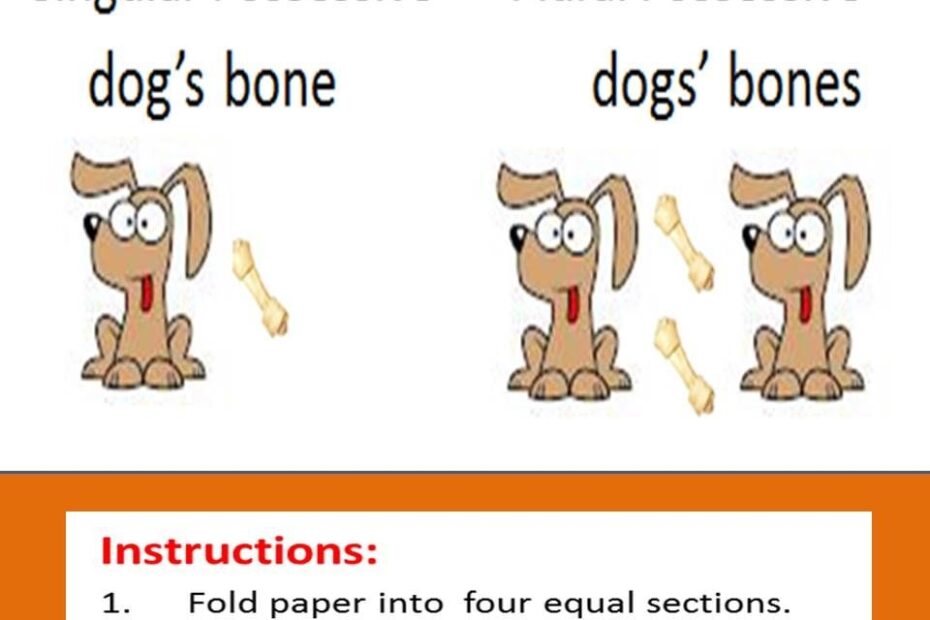 Plurals Possessives And Plural Possessives Posters Great Visual Tool