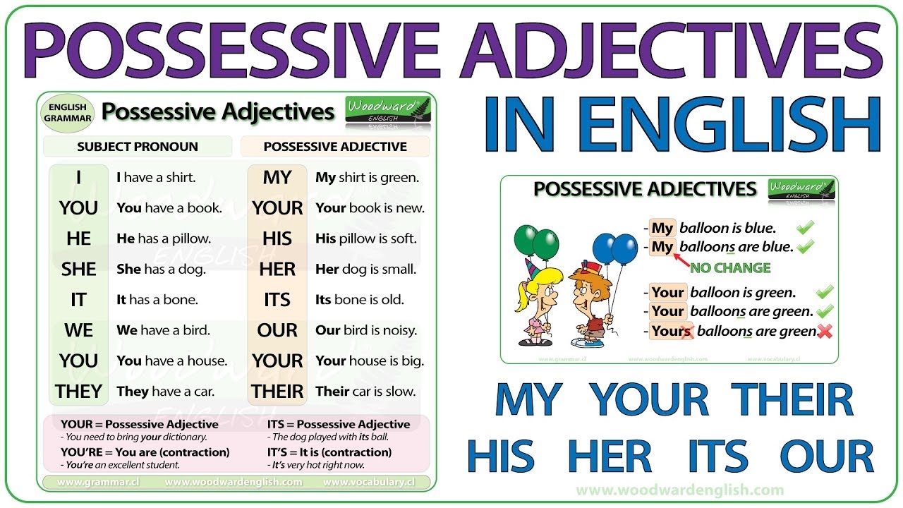 Possessive Adjectives In English Grammar Lesson YouTube