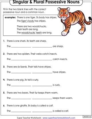 Possessive Noun Worksheets Worksheets Library