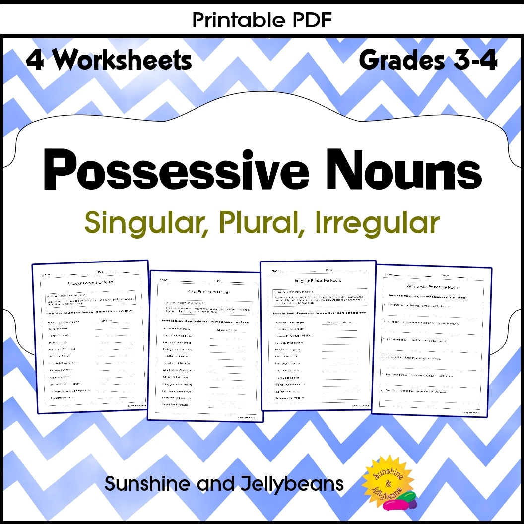 Possessive Nouns Singular Plural Irregular Grades 3 4 CCSS Made 
