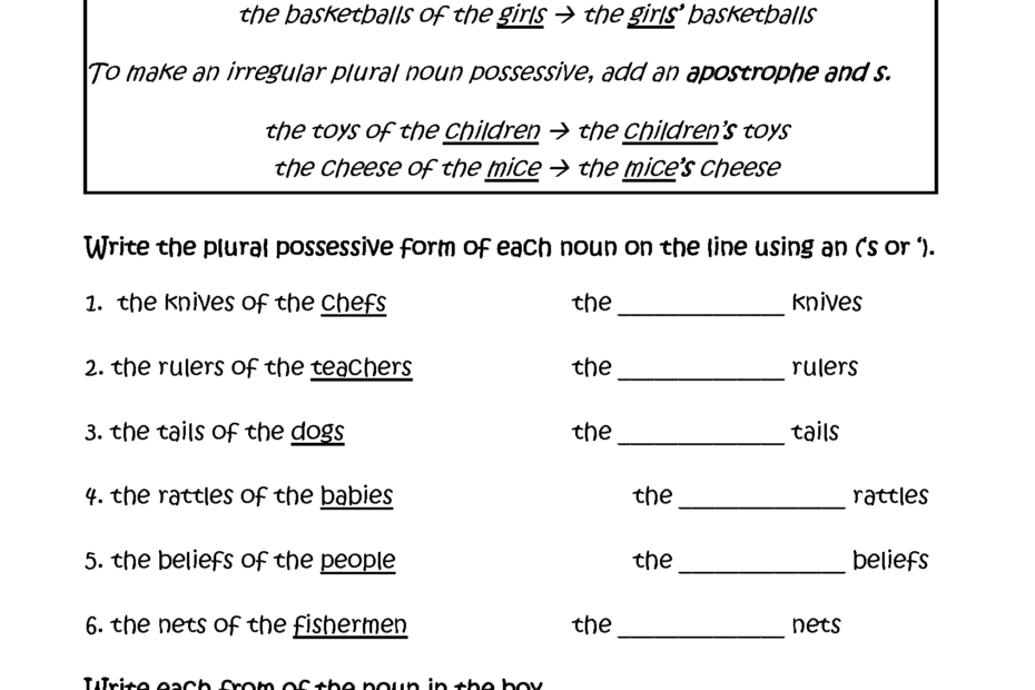 Possessive Nouns Worksheets Fun With Plural Possessive Nouns Worksheets