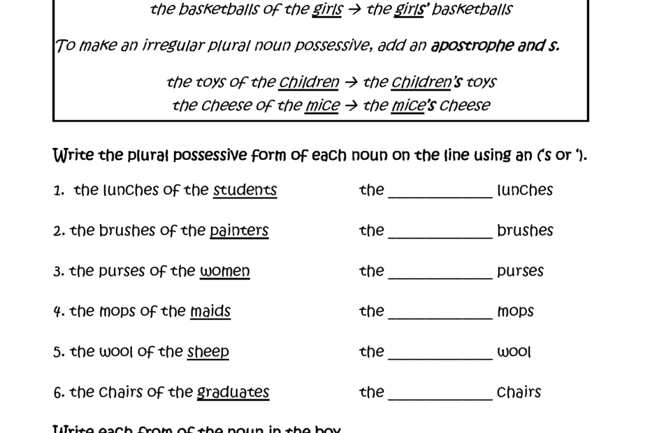 Possessive Nouns Worksheets Writing Plural Possessive Nouns Worksheets