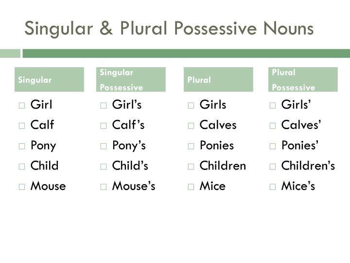 PPT PLURAL POSSESSIVE NOUNS PowerPoint Presentation ID 2335910