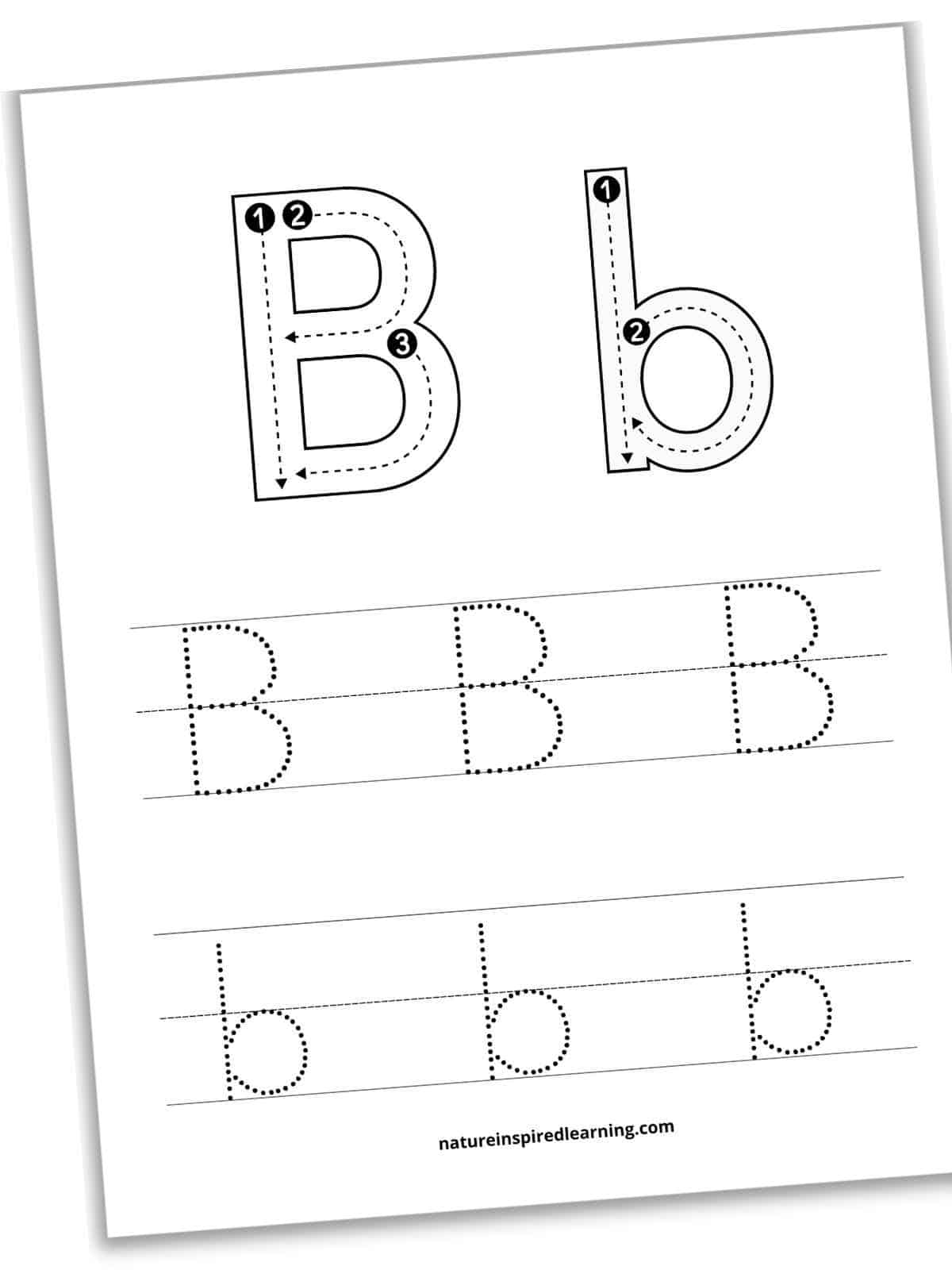 Printable Letter B Tracing Worksheets For Pre Free Infoupdate