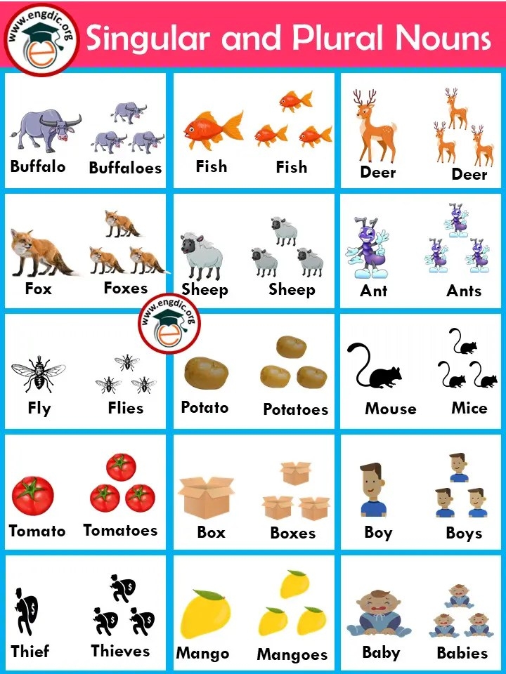 noun plural