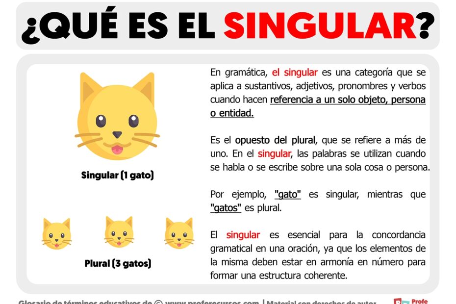 Qu Es El Singular Definici n De Singular