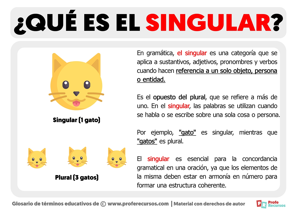 Qu Es El Singular Definici n De Singular
