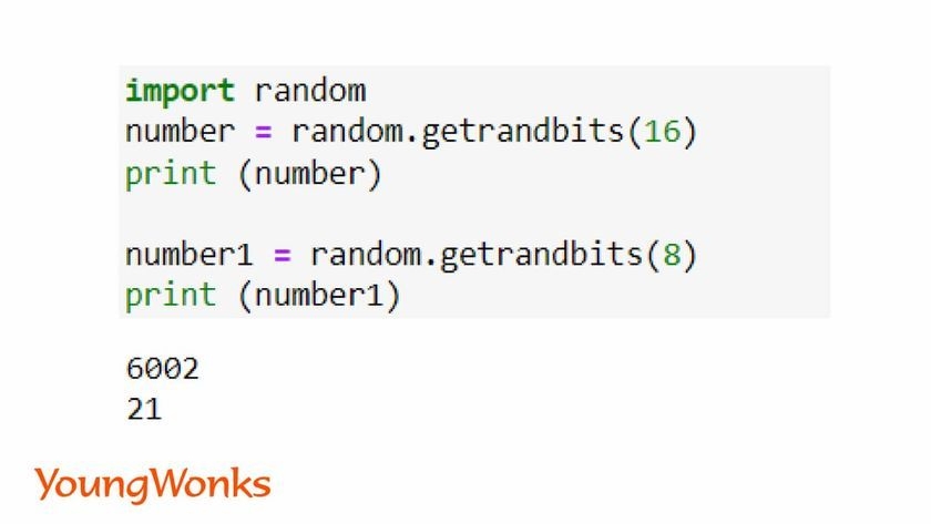 random quiz questions multiple choice