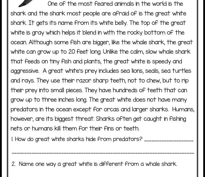 Reading Comprehension Passages Classroom Freebies Reading