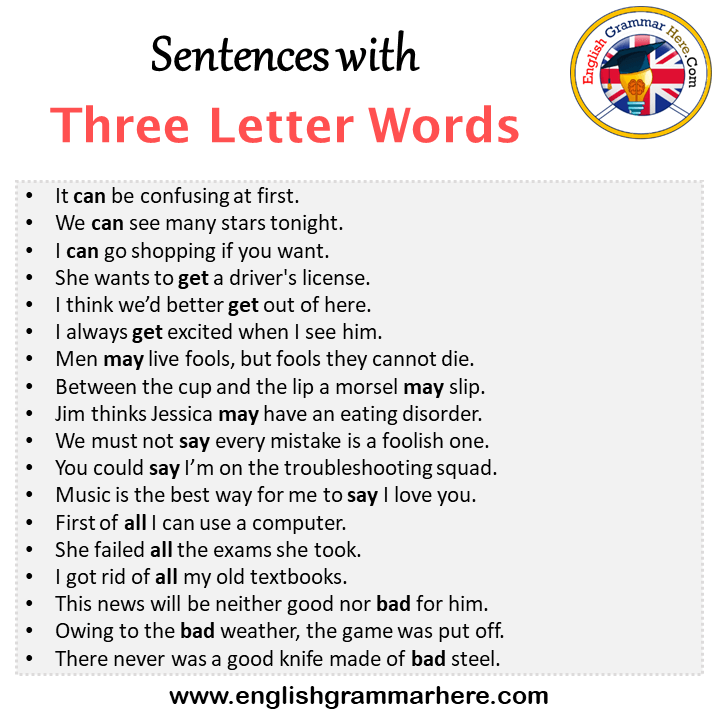 vocab words in sentences