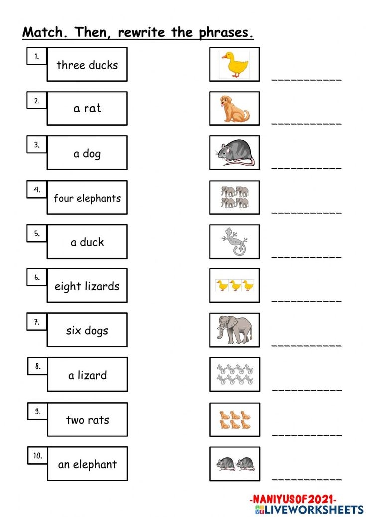 Singular And Plural Nouns animals Worksheet Singular And Plural 