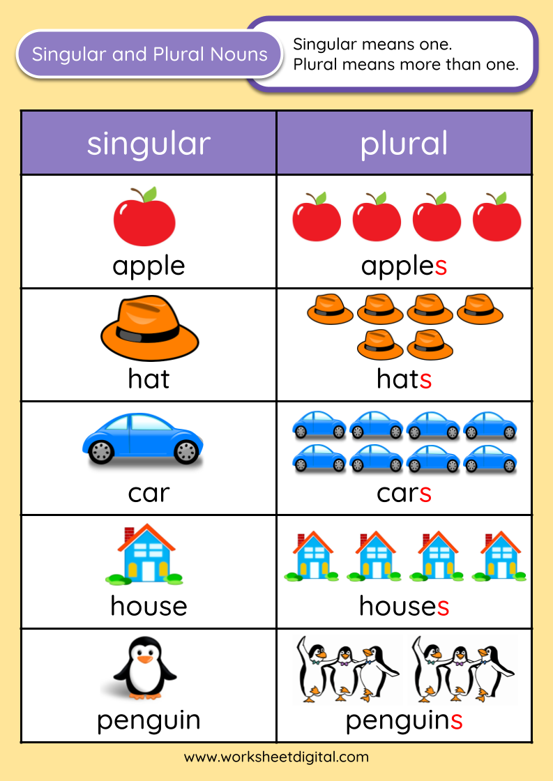 Singular And Plural Nouns Artofit