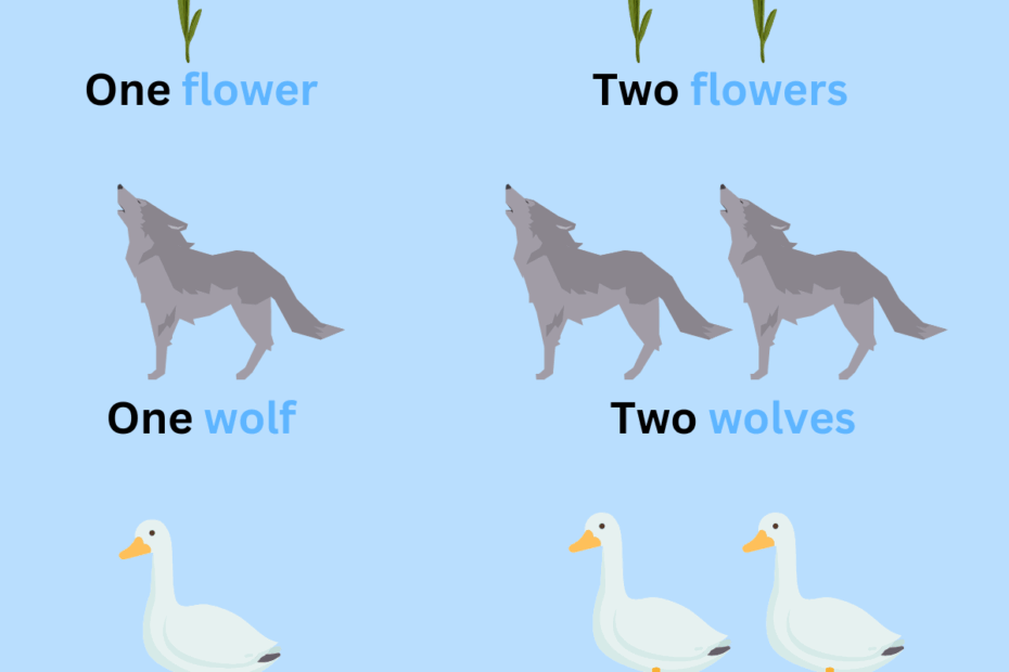 Singular And Plural Nouns Definitions Rules Examples 46 OFF