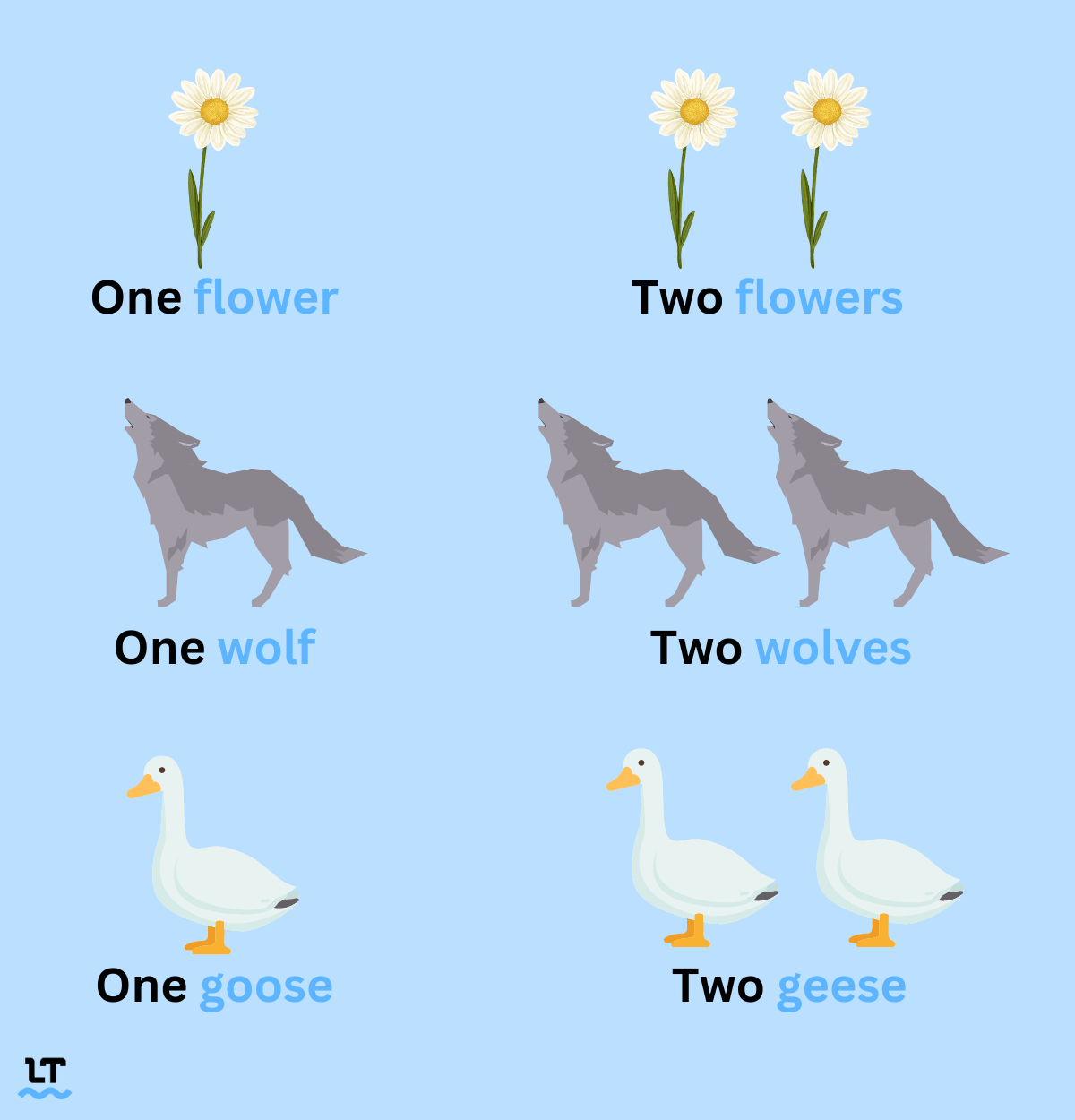 Singular And Plural Nouns Definitions Rules Examples 46 OFF