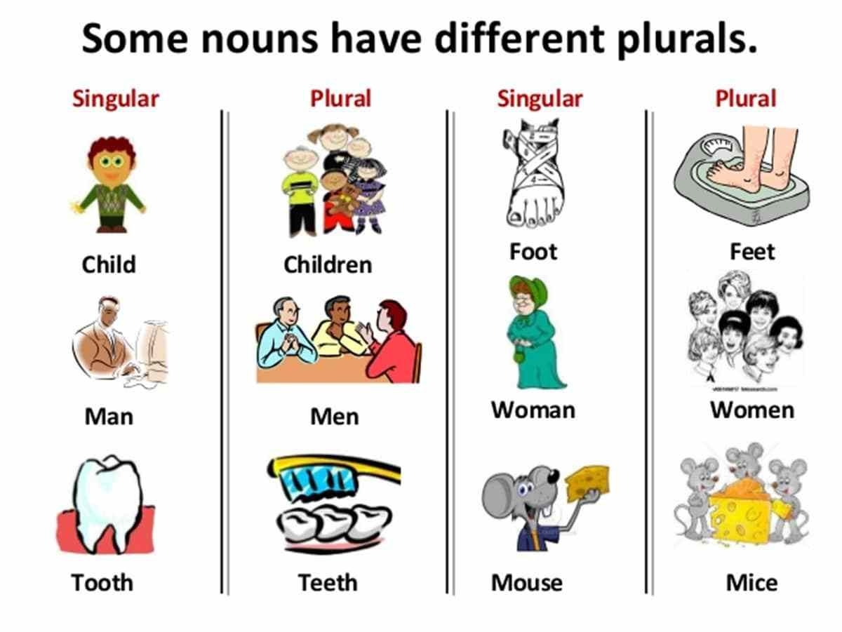 singular and plural nouns exercises pdf