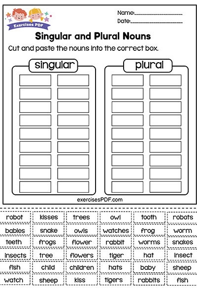 Singular And Plural Nouns Exercises PDF
