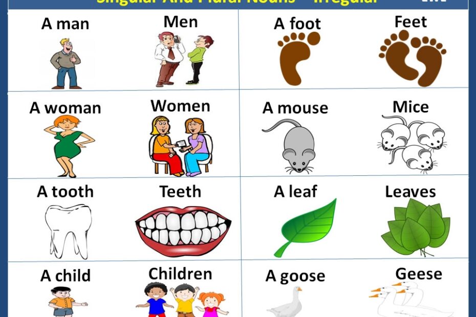 Singular And Plural Nouns Irregular Vocabulary Home