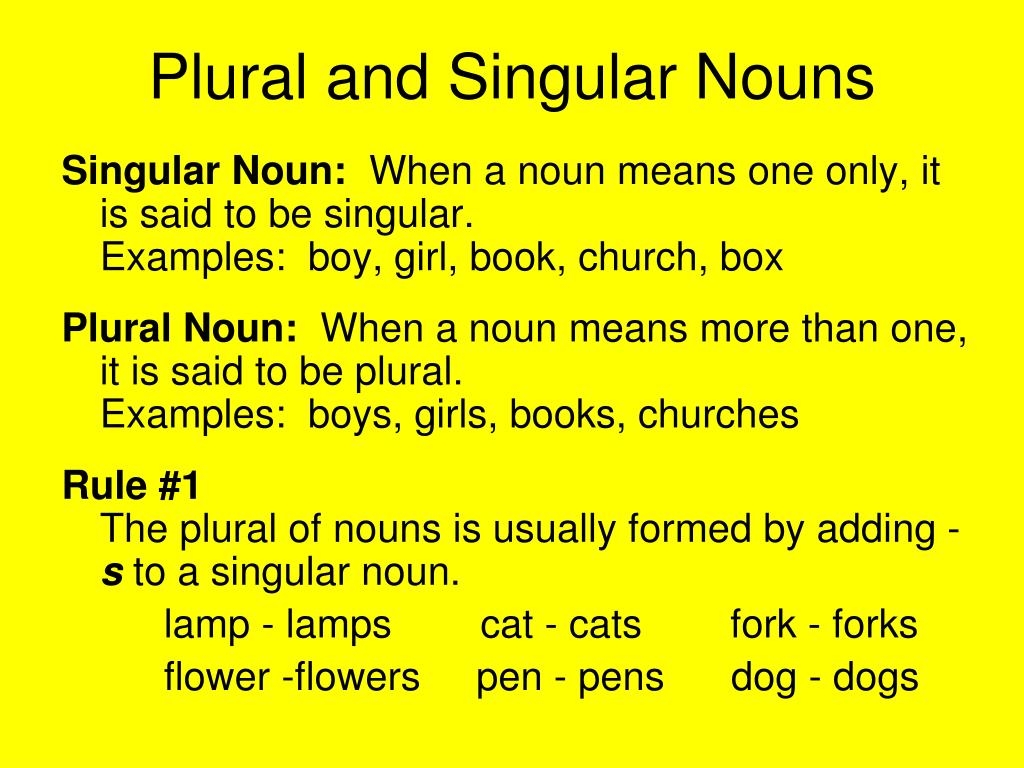 Singular Plural Nouns 48 OFF Www micoope gt