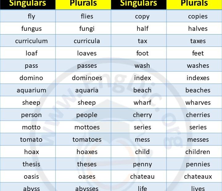 Singular Plural Nouns Definitions Rules And Examples Plurals