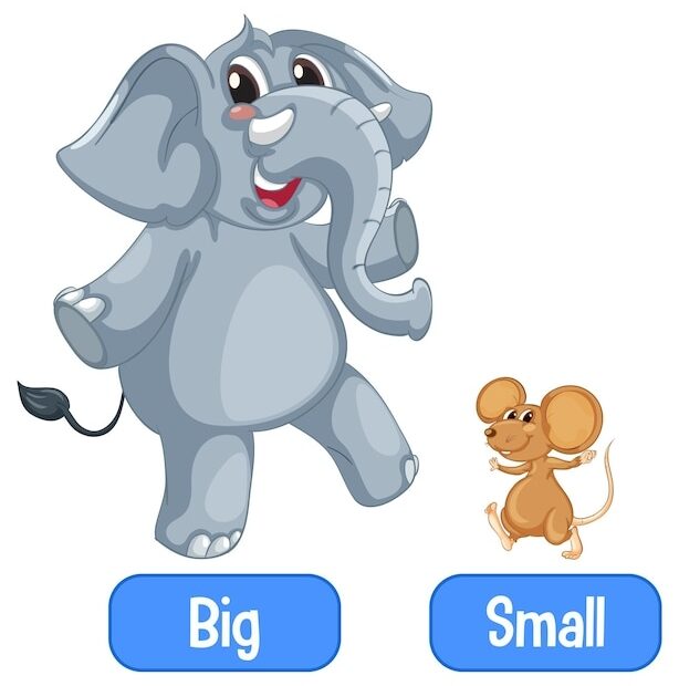 Small Big Vectors Illustrations For Free Download Freepik