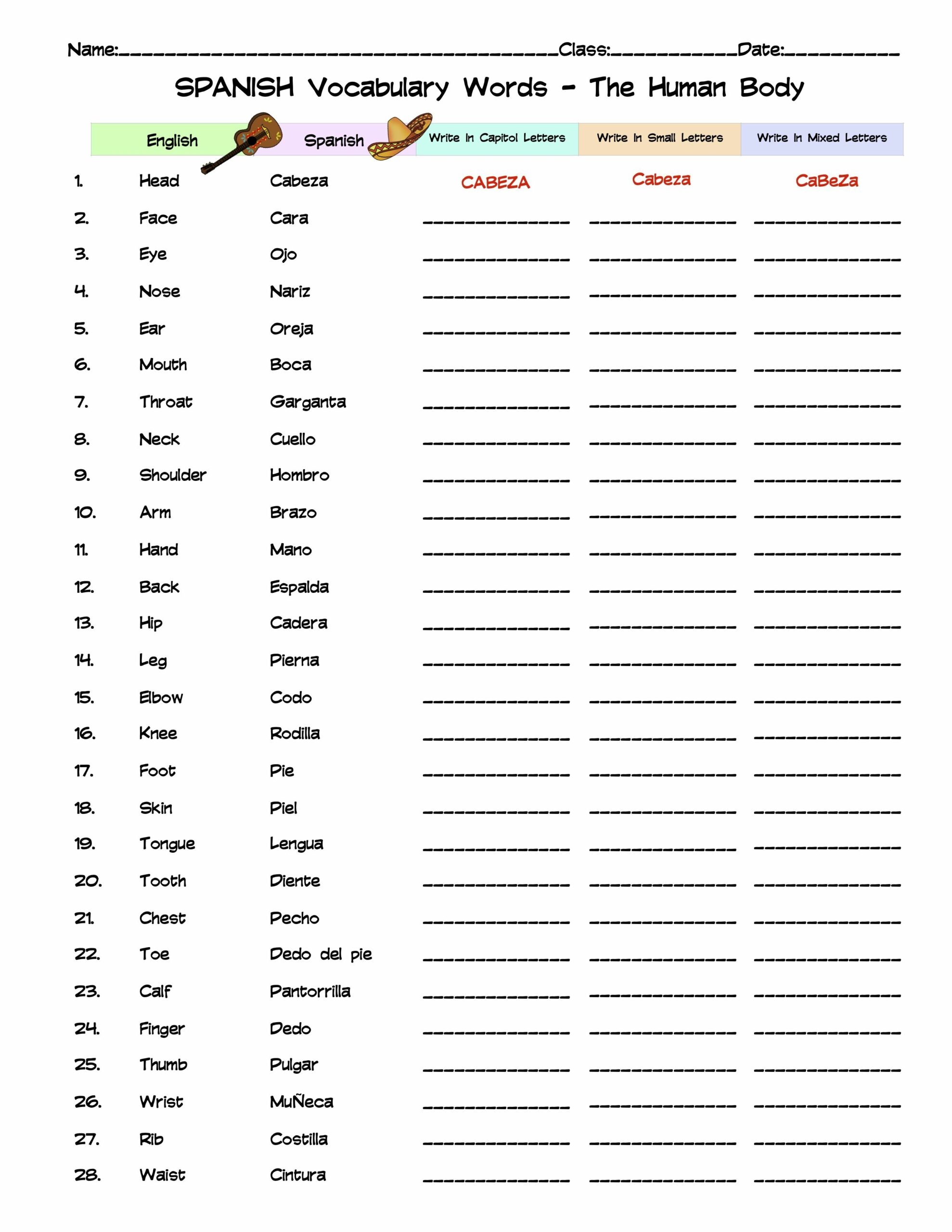 Spanish The Human Body Vocabulary Word List Column Worksheet Made By 